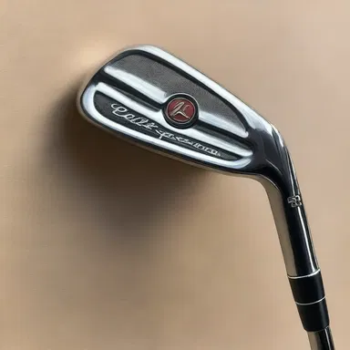 The artist meticulously painted the details of the golf club, capturing the shine of its metal and the texture of its grip.
