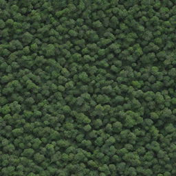 Generate an image of a lush forest with the name 'Bashir Bashir' artistically integrated into the natural features.