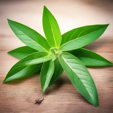 The clary herb has been used in religious ceremonies for centuries, symbolizing purity and spiritual awakening.