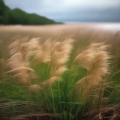 As the wind blew through the field, the tall grass began to waver like waves crashing on the shore.