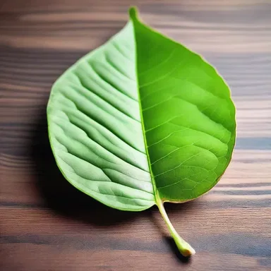 Why did the basal leaf go to therapy? Because it couldn't handle being so low!